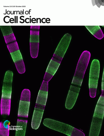 Cover image from J of Cell Science