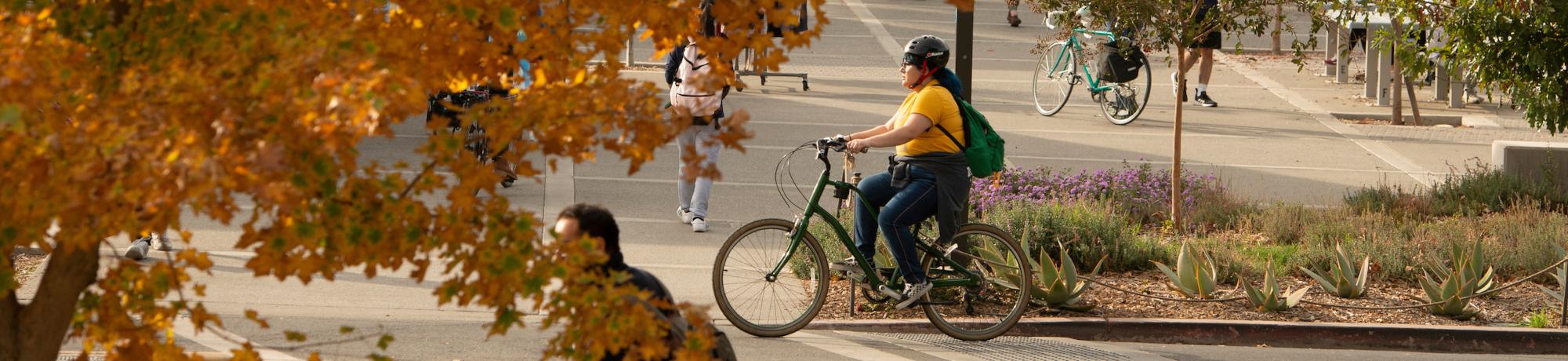 Cyclist in autumn